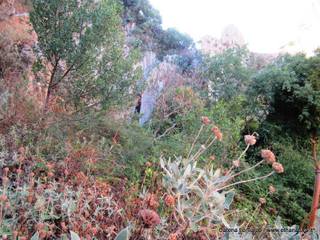 stoleone-31-08-2015 09-08-56